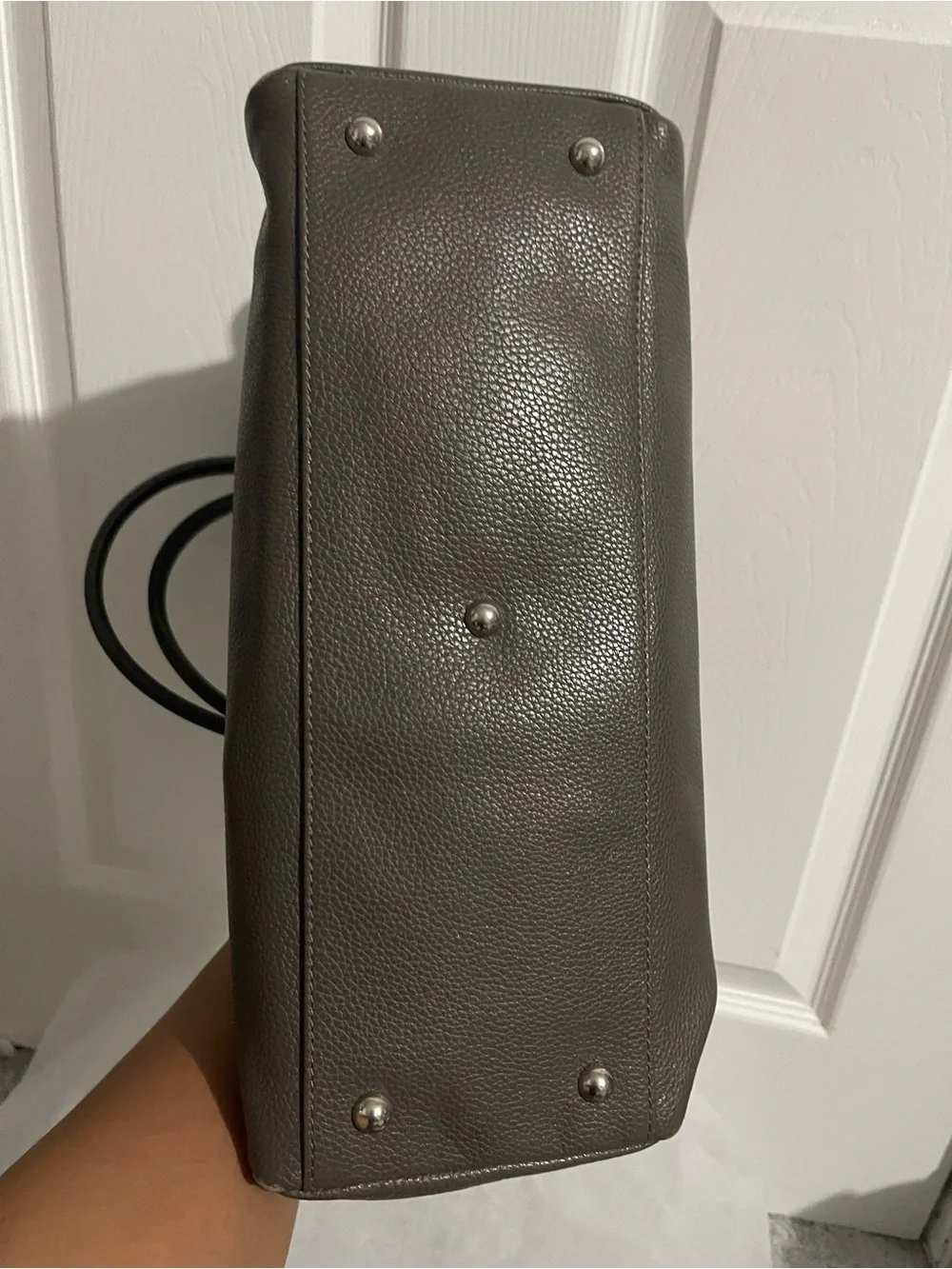 Longchamp satchel muted